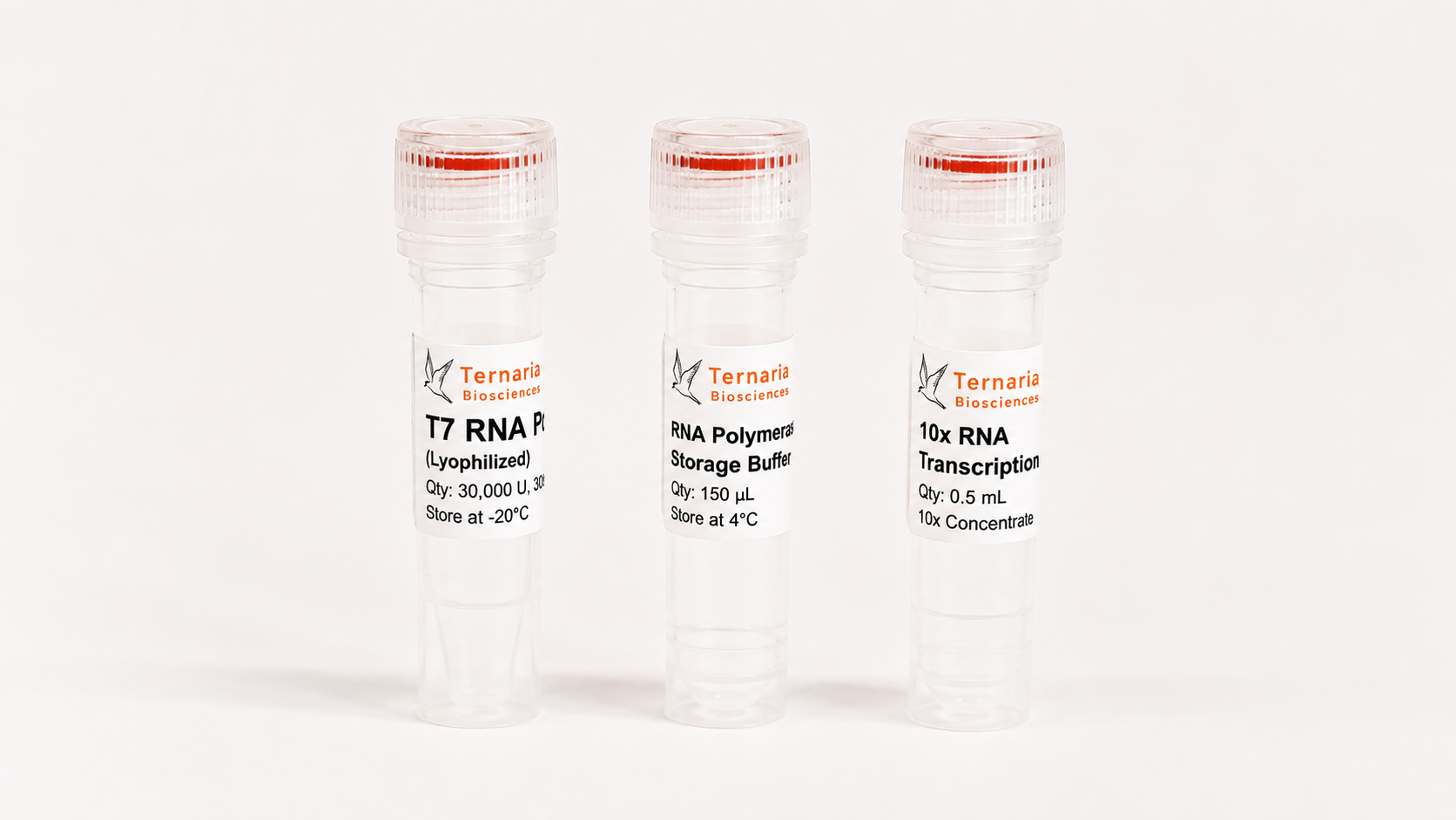RNA Polymerases